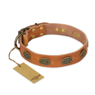 (image for) "Magic Amulet" FDT Artisan Tan Leather American Bulldog Collar with Oval Studs