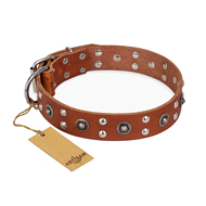 (image for) "Silver Elegance" FDT Artisan Decorated Leather American Bulldog Collar with Old Silver-Like Plated Studs and Cones