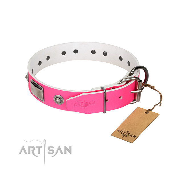 Amazing leather collar with decorations for your doggie