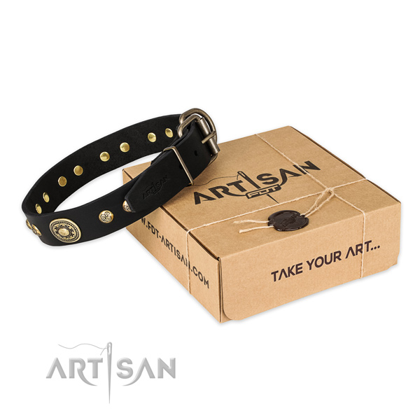 Corrosion resistant fittings on genuine leather dog collar for daily use