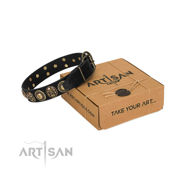 Rust resistant decorations on dog collar for everyday use