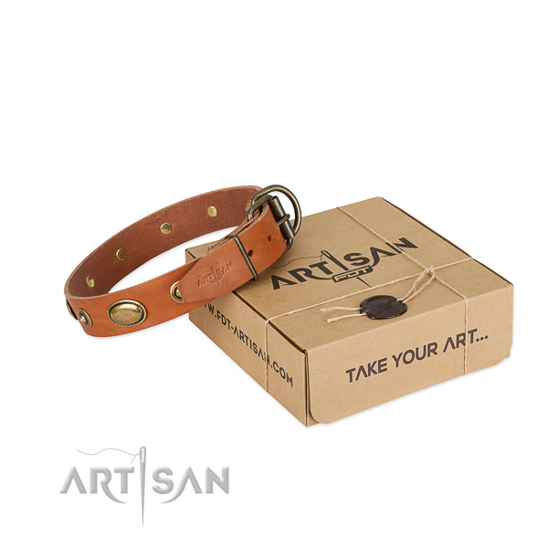 Corrosion proof fittings on full grain leather dog collar for your doggie