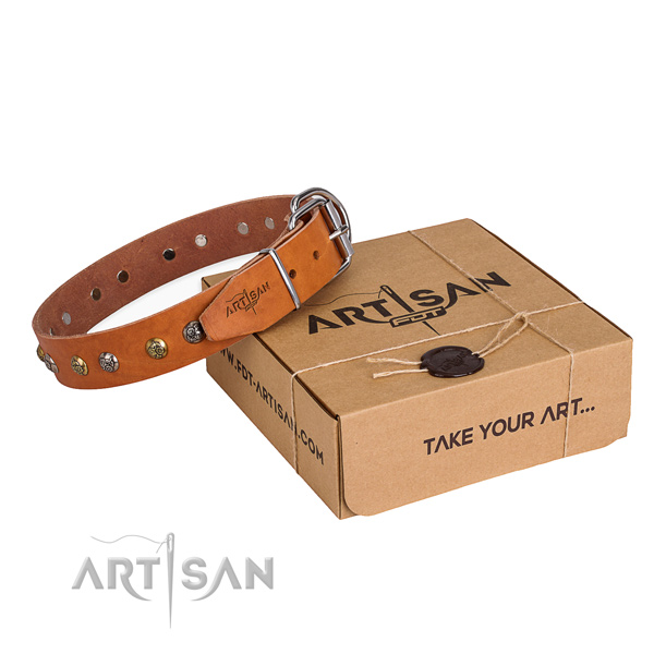 Fancy walking dog collar with Amazing durable studs