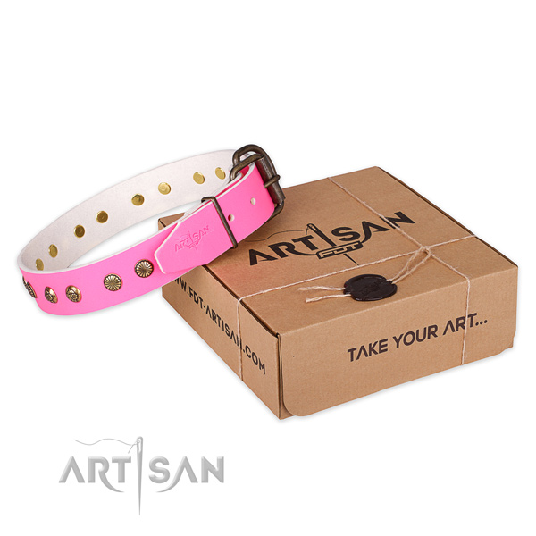Corrosion proof traditional buckle on genuine leather collar for your attractive pet
