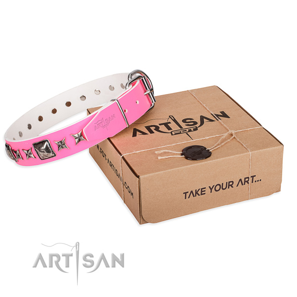 Everyday walking full grain leather dog collar with studs