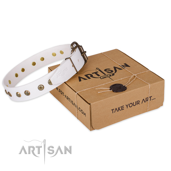 Corrosion resistant fittings on leather collar for your beautiful pet
