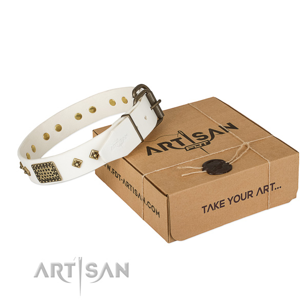 Best quality full grain natural leather collar for your stylish dog