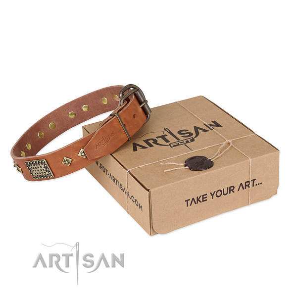 Fashionable leather collar for your impressive dog
