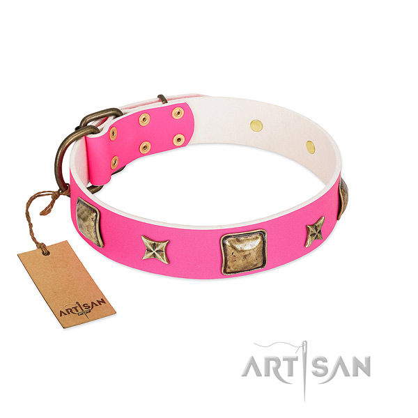Genuine leather dog collar of quality material with unusual adornments