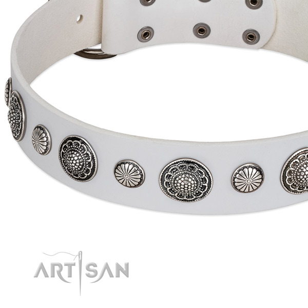 Full grain natural leather collar with rust-proof D-ring for your impressive four-legged friend