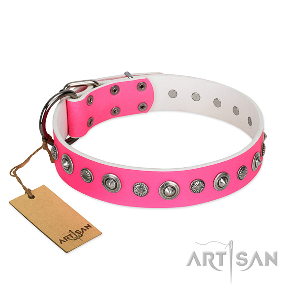 Top quality natural leather dog collar with stylish design embellishments