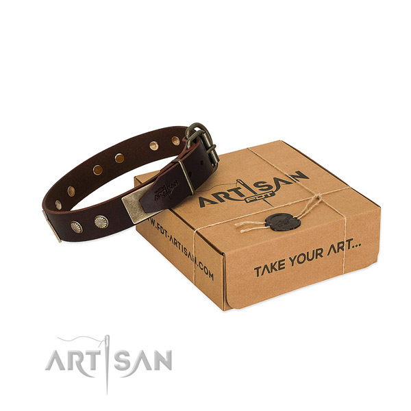 Reliable embellishments on dog collar for walking
