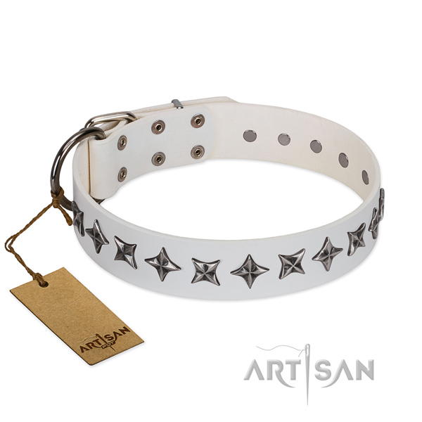 Daily use dog collar of strong full grain leather with embellishments