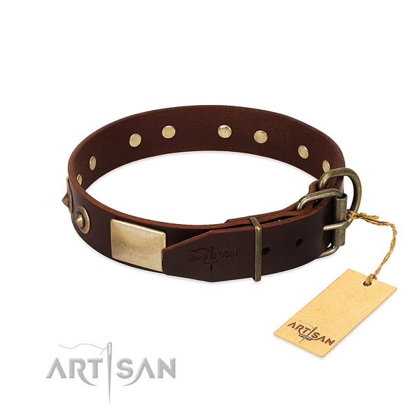 Corrosion resistant fittings on walking dog collar