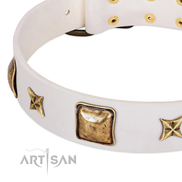 Durable studs on full grain natural leather dog collar for your canine