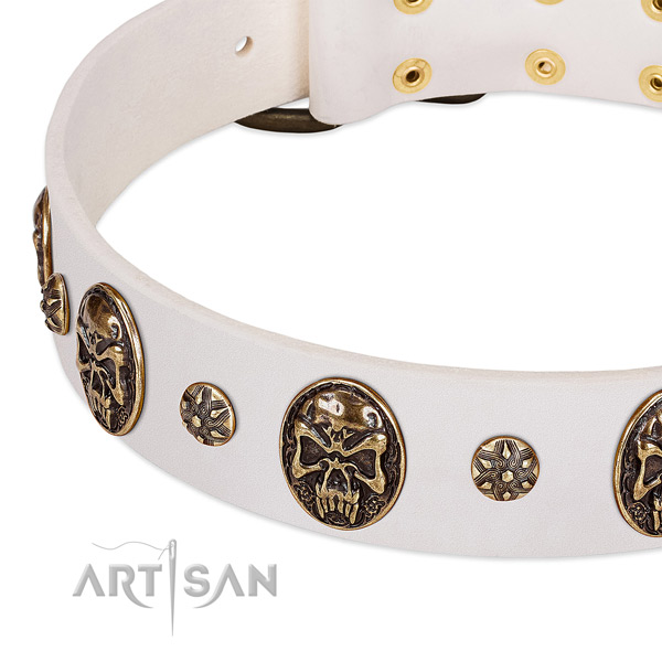 Durable adornments on full grain leather dog collar for your canine