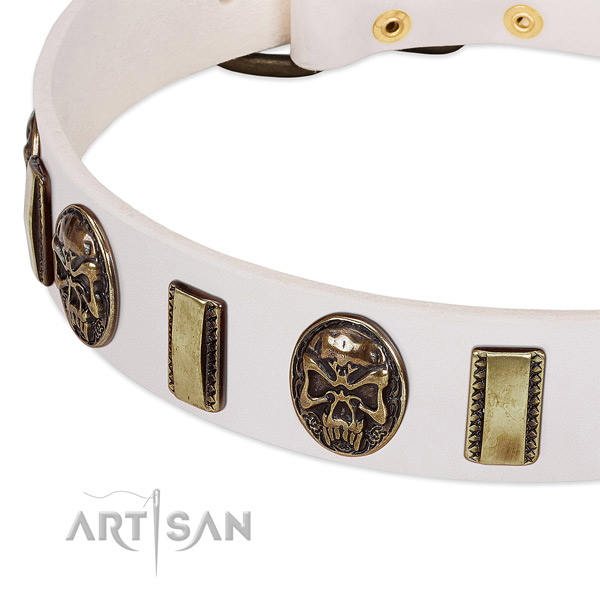 Corrosion proof hardware on leather dog collar for your four-legged friend