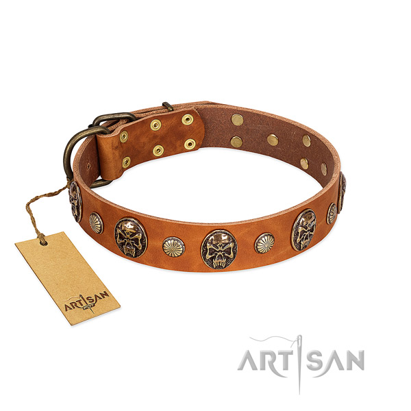 Easy adjustable natural genuine leather dog collar for stylish walking