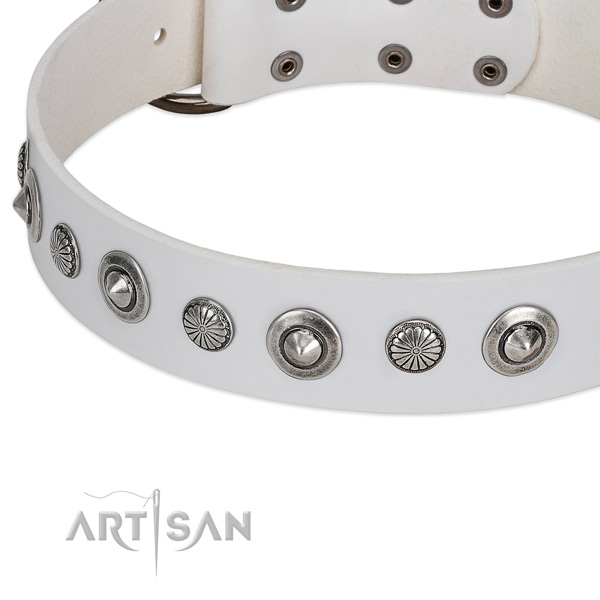 Genuine leather collar with corrosion proof hardware for your handsome pet