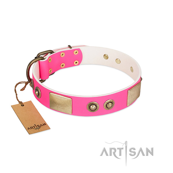 Rust-proof embellishments on full grain leather dog collar for your four-legged friend