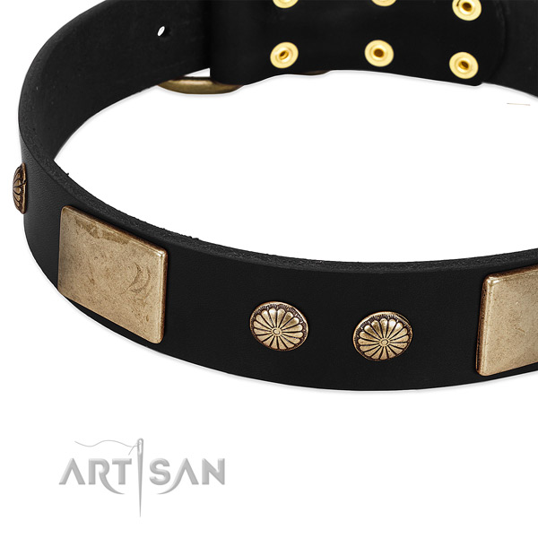 Full grain leather dog collar with decorations for everyday walking