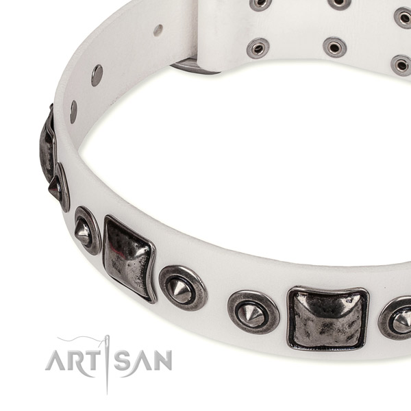 Durable full grain genuine leather dog collar created for your stylish canine