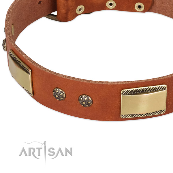Rust-proof traditional buckle on genuine leather dog collar for your four-legged friend