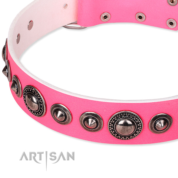 Fancy walking embellished dog collar of top quality full grain natural leather