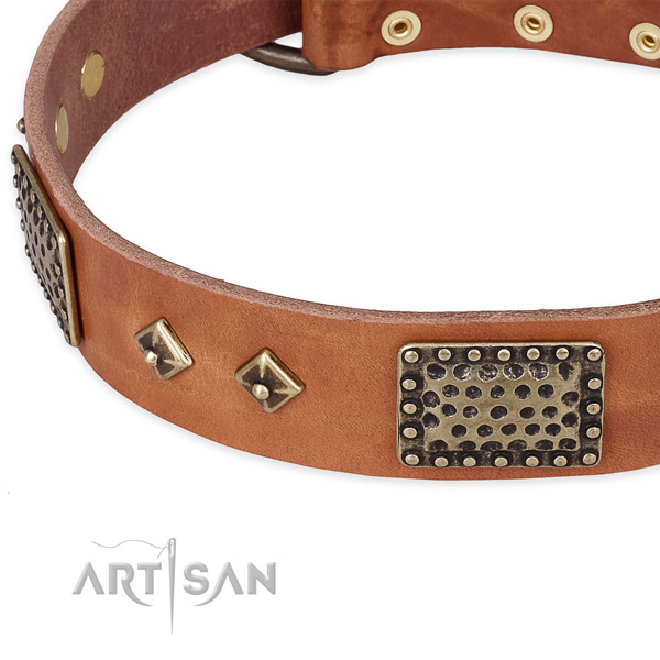 Rust-proof decorations on full grain natural leather dog collar for your dog