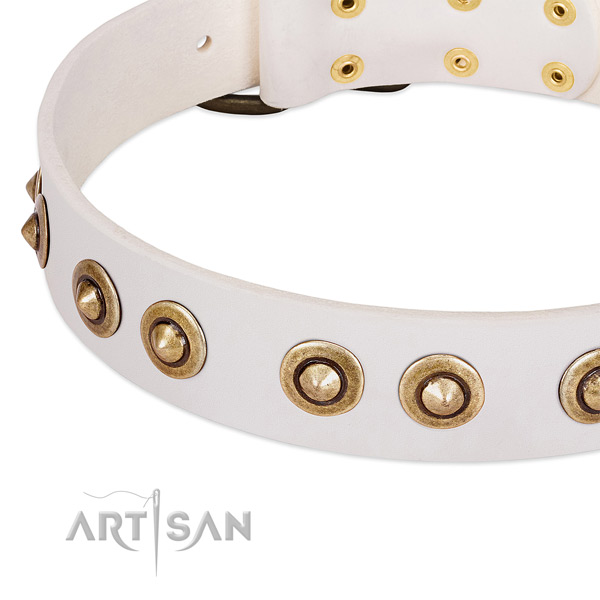 Rust-proof fittings on leather dog collar for your pet