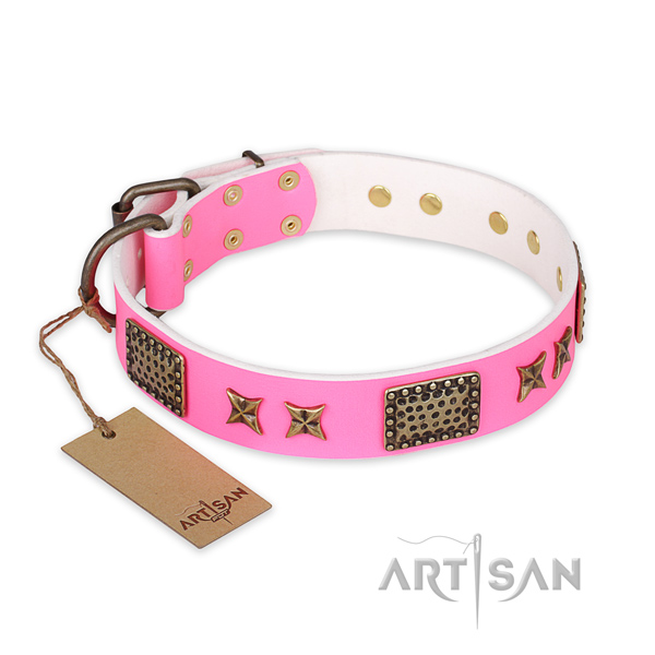 Unique full grain leather dog collar with corrosion resistant buckle