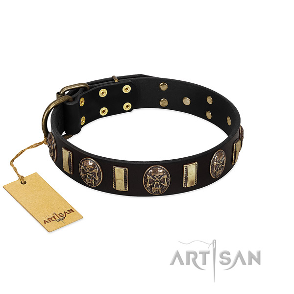Fine quality full grain natural leather dog collar for everyday use