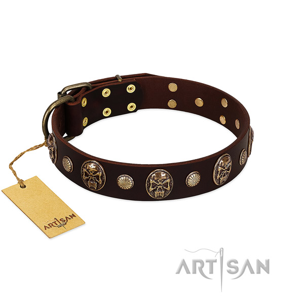 Unusual leather dog collar for everyday use