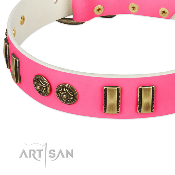 Reliable embellishments on full grain genuine leather dog collar for your canine