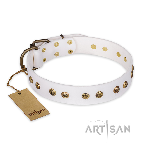 Amazing natural genuine leather dog collar with strong traditional buckle