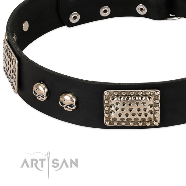 Rust-proof studs on genuine leather dog collar for your doggie