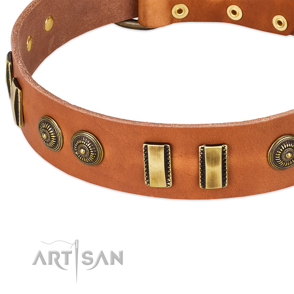 Corrosion resistant studs on full grain leather dog collar for your pet