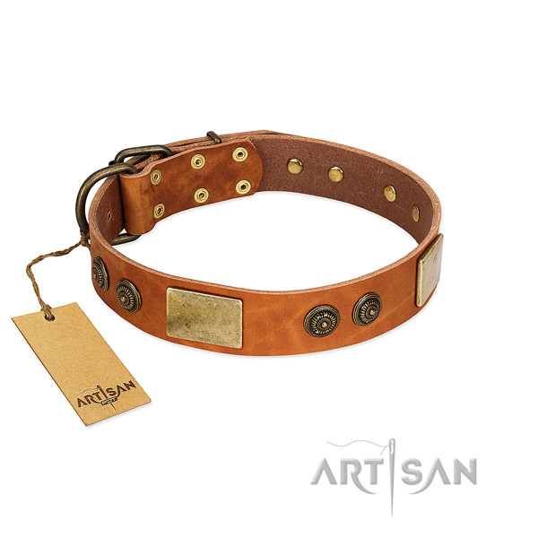 Amazing leather dog collar for comfortable wearing