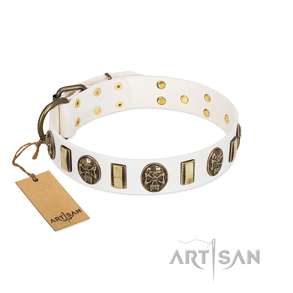 Adjustable full grain leather dog collar for everyday use