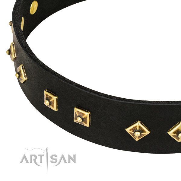 Unusual genuine leather collar for your attractive doggie