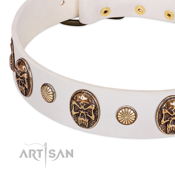 Reliable D-ring on full grain leather dog collar for your dog