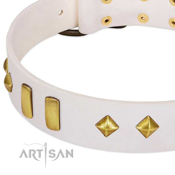 Top notch leather dog collar with reliable fittings