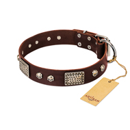 (image for) "Pirate Skull" FDT Artisan Brown Leather American Bulldog Collar with Old Silver Look Plates and Skulls