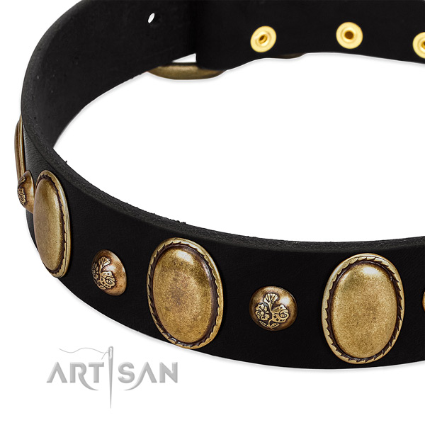Full grain leather dog collar with top notch decorations