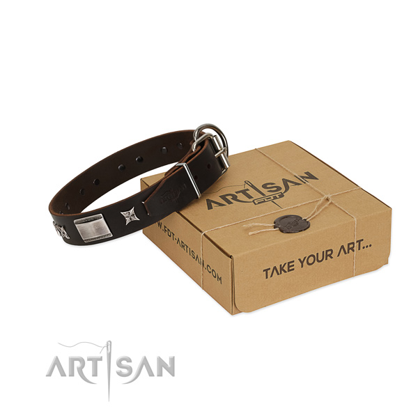 Unusual collar of leather for your stylish pet