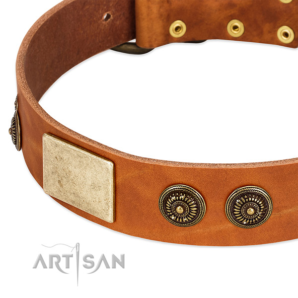 Decorated dog collar crafted for your lovely dog