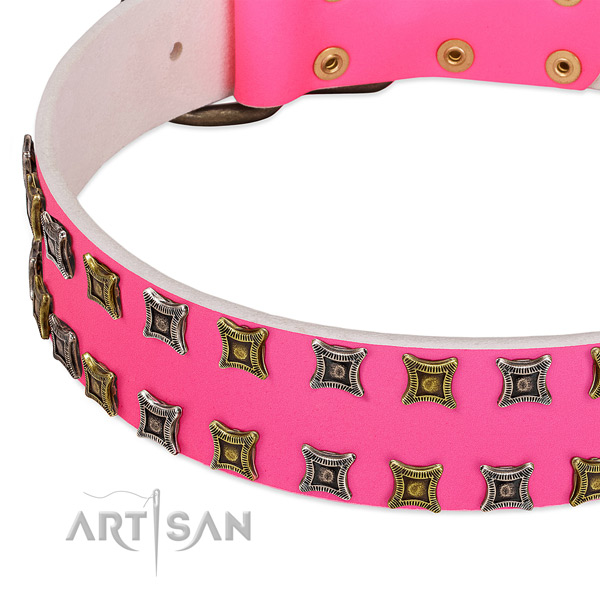 Full grain leather dog collar with extraordinary adornments