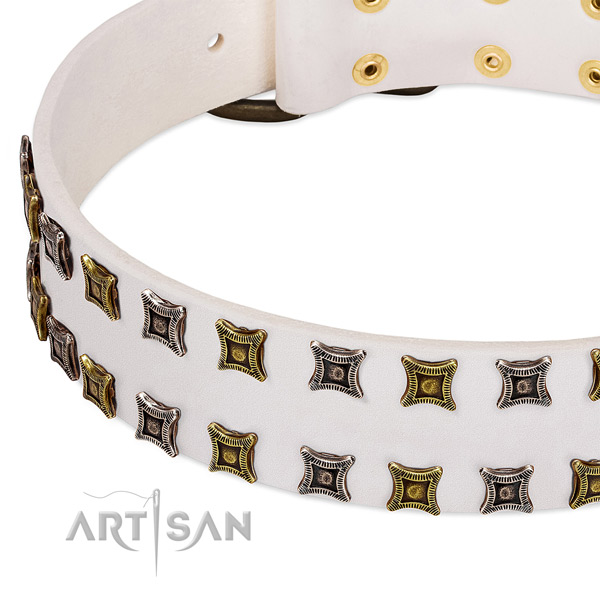 Reliable full grain natural leather dog collar for your lovely doggie