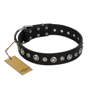 (image for) "Genteel Charm" FDT Artisan Black Leather American Bulldog Collar with Silver-like Round Conchos