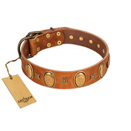 (image for) "Glossy Autumn" Designer Handmade FDT Artisan Tan Leather American Bulldog Collar with Ovals and Studs